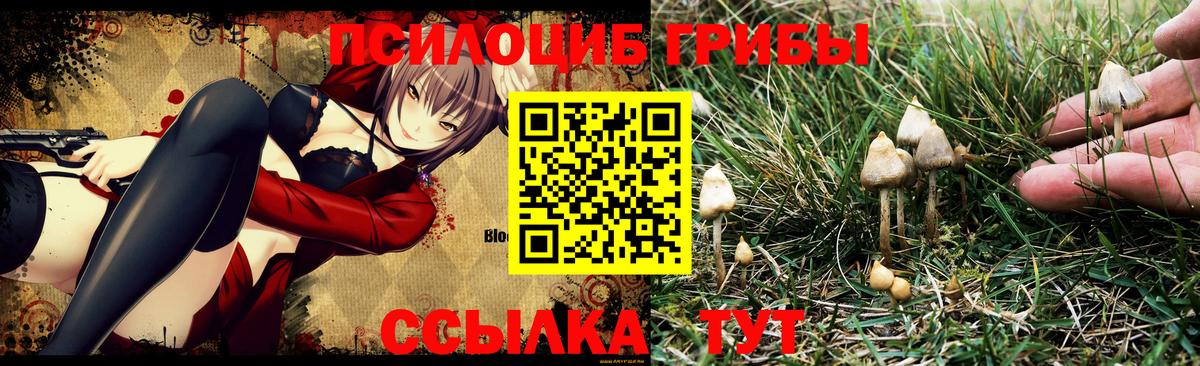Галлюциногенные грибы GOLDEN TEACHER  Вход с VPN  сколько стоит  Трёхгорный 