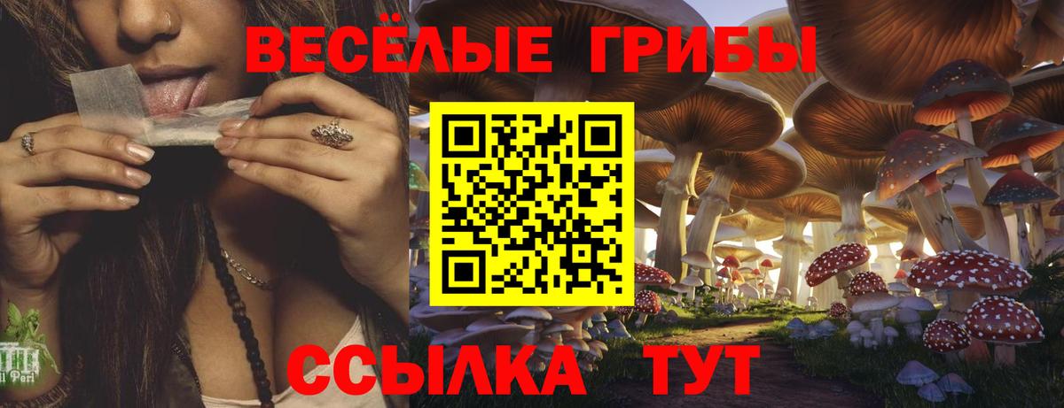 Галлюциногенные грибы Psilocybine cubensis Трёхгорный